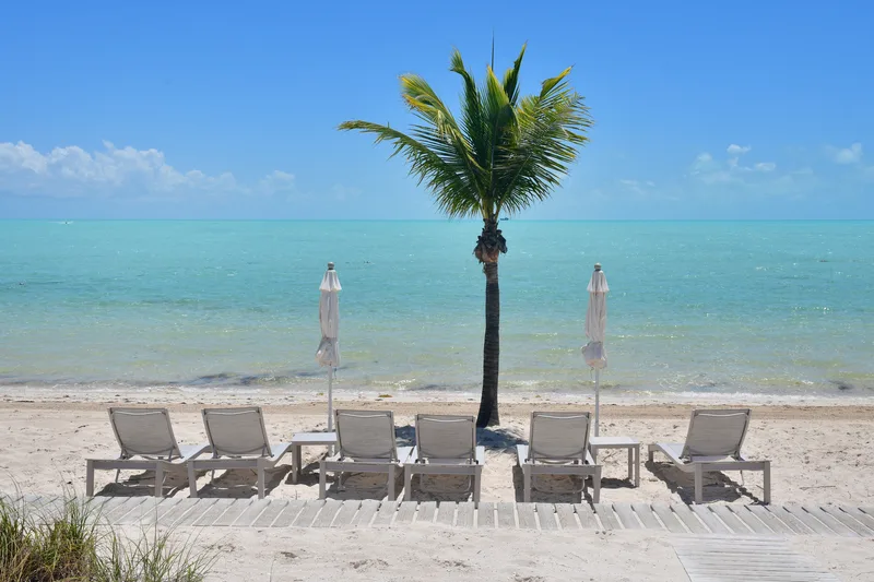 Long Bay Beach in front of the villa: a palm tree, loungers and the shallow lagoon
